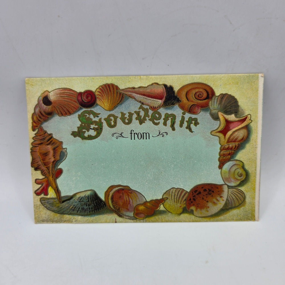 Vintage Souvenir From Sea Shells Embossed‎ Postcard 1910 Michigan Correspondence